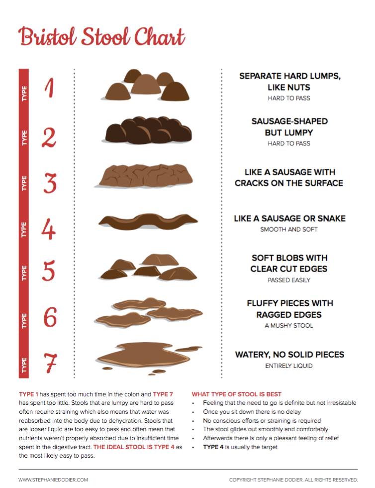 stool-quality-chart-for-dog-poop