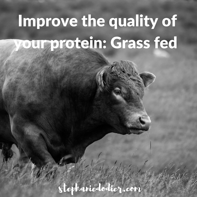 how to improve food quality: protein 