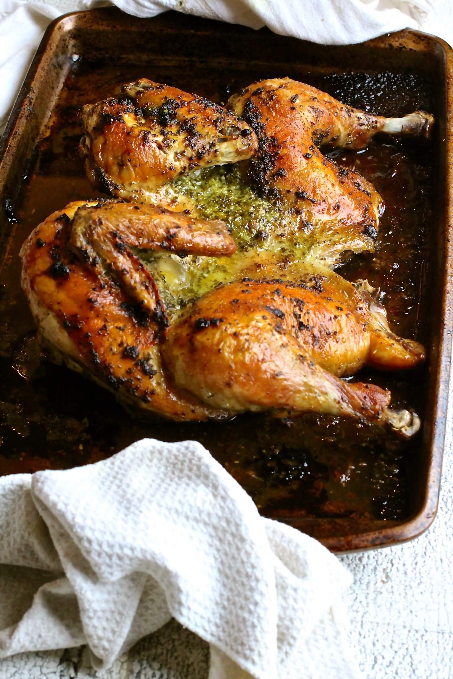 quick roasted chicken recipe body