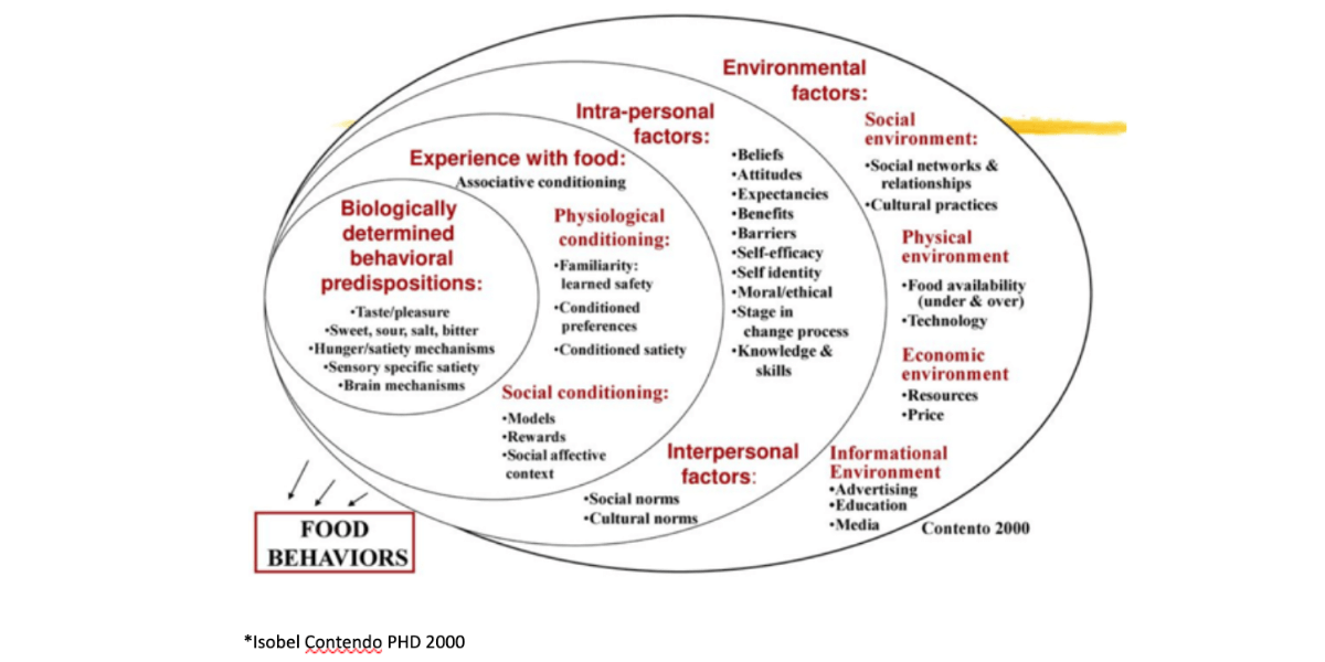 Diet-Brain-Diet-Mindset-Professional-image-2