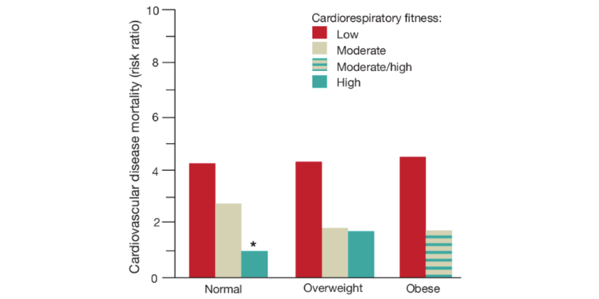 non-diet approach for health coaching