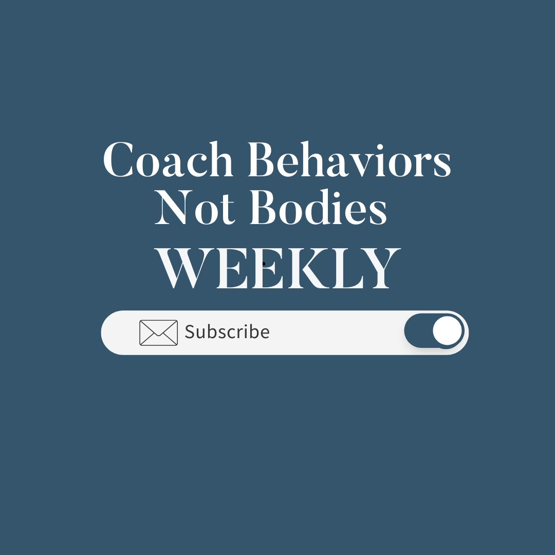Stephanie Dodier Newsletter